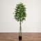 6.5ft. UV Resistant Artificial Ficus Tree (Indoor/Outdoor)